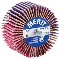 Mini-meule &agrave; lamelles filet&eacute;es, C&eacute;ramique d'alumine, Grain 40, 2" x 1" x 1/4"-20 Seaboard Timber Mart