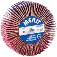 Mini-meule &agrave; lamelles filet&eacute;es, C&eacute;ramique d'alumine, Grain 40, 3" x 1" x 1/4"-20 Seaboard Timber Mart