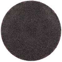 Disques en tissu &agrave; changement rapide Gemini R766/R228, 2" dia., Grain 36, Oxyde d'aluminium Seaboard Timber Mart