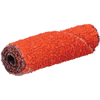 Rouleau de cartouche Blaze R920, 60 Grain, 3/8" dia., C&eacute;ramique d'alumine, 1-1/2" lo, 1/8" Dimension de l'arbre Seaboard Timber Mart