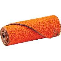 Cartouche de ruban abrasif en rouleau, 60 Grain, 1/2" dia., C&eacute;ramique d'alumine, 1-1/2" lo, 1/8" Dimension de l'arbre Seaboard Timber Mart