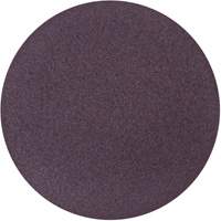 Disque de ponçage en tissu PSA Metalite, 10" dia., Grain 36, Oxyde d'aluminium Seaboard Timber Mart