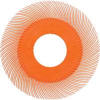 Scotch-Brite Type C Precision Radial Bristle Brush PN-RB without Adapter, Ceramic, 80+ Grit, 6" Dia. Seaboard Timber Mart