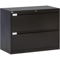 Lateral Filing Cabinet, Steel, 2 Drawers, 36" W x 18" D x 27-7/8" H, Black Seaboard Timber Mart