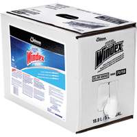 Nettoyant pour vitres Windex avec Ammoniac-D, 5 gal., Sac Seaboard Timber Mart