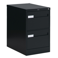 Vertical Filing Cabinet with Recessed Drawer Handles, 2 Drawers, 18.15" W x 26.56" D x 29" H, Black Seaboard Timber Mart