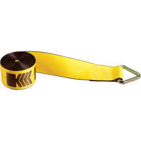 Winch Straps, Delta Ring, 4" W x 30' L, 5400 lbs. (2450 kg) Working Load Limit Seaboard Timber Mart