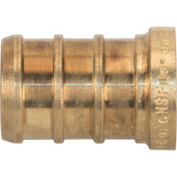Capuchon de tuyau sans plomb, Tuyau, 1/2" dia., Laiton Seaboard Timber Mart