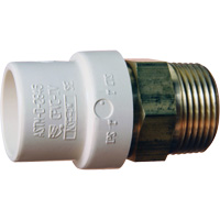 Threaded Pipe Adapter, Hub x MPT, 1" Dia., Brass/CPVC Seaboard Timber Mart