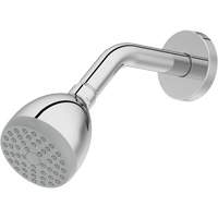One-Function Showerhead Seaboard Timber Mart