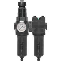 Manual Drain Filter, Regulator & Coalescing Filter with Metal Bowl Modulair 400, 1/4" NPT, 200 psi, 9.1 fl. oz. Capacity Seaboard Timber Mart