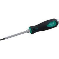 Tournevis Torx (MD)