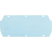Visi&egrave;re Facetec en polycarbonate, Polycarbonate, Teinte Transparent Seaboard Timber Mart