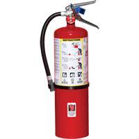 Fire Extinguisher, ABC, 10 lbs. Capacity Seaboard Timber Mart