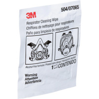 Respirator Cleaning Wipes, Wipes Seaboard Timber Mart