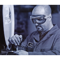 Lunettes de s&eacute;curit&eacute; &agrave; coques Uvex Flex Seal, Lentille 3,0, Antibu&eacute;e, Ventilation Indirecte Seaboard Timber Mart