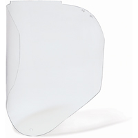 Bionic Replacement Faceshield, Polycarbonate, Clear Tint Seaboard Timber Mart