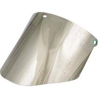 &eacute;cran facial moul&eacute;, Polycarbonate, Teinte Vert Seaboard Timber Mart