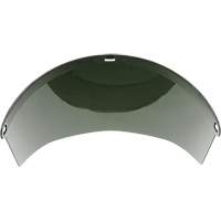 &eacute;cran facial moul&eacute;, Polycarbonate, Teinte Vert Seaboard Timber Mart
