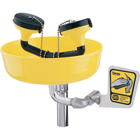 Poste de douche oculaire, Installation Support pour tuyau d'approvisionnement, Bol Plastique Seaboard Timber Mart