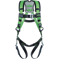 Full Body Harnesses
