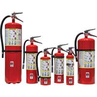 Fire Extinguisher, ABC, 30 lbs. Capacity Seaboard Timber Mart
