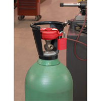 Pressurized Valve Lockout, Gas Cylinder Type Seaboard Timber Mart