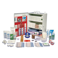 Workplace Deluxe First Aid Kits, Class 1 Medical Device, Metal Box Seaboard Timber Mart