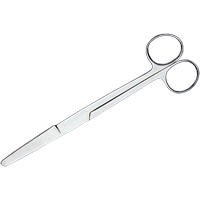 Surgical Scissors Seaboard Timber Mart