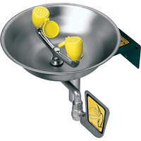Eye/Face Wash Station, Wall-Mount Installation, Stainless Steel Bowl Seaboard Timber Mart