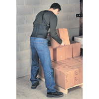 Bodybelt, Elastic, Small Seaboard Timber Mart