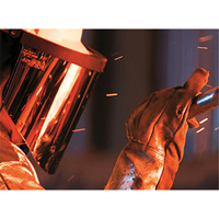 Harnais de t&ecirc;te avec visi&egrave;re, Polycarbonate, Suspension Rochet Seaboard Timber Mart