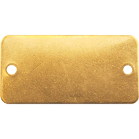 Blank Tags, Brass, 3" W x 1" H Seaboard Timber Mart
