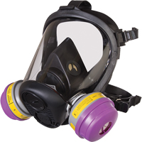Respirateur &agrave; masque complet de s&eacute;rie RU6500 de North, Silicone, Petit Seaboard Timber Mart