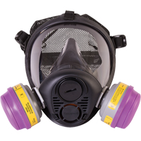 Respirateur &agrave; masque complet de s&eacute;rie RU6500 de North, Silicone, Moyen Seaboard Timber Mart