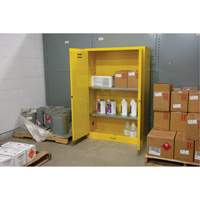 Flammable Storage Cabinet, 45 gal., 2 Door, 43" W x 65" H x 18" D Seaboard Timber Mart