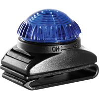 Guardian Warning Light, Continuous/Flashing, Blue Seaboard Timber Mart