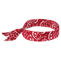 Chill-Its&reg; 6700 Cooling Bandanas, Red Seaboard Timber Mart