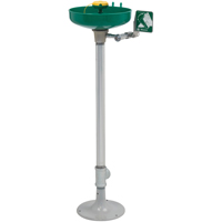 Axion&reg; Eye/Face Wash Station, Pedestal Installation, Plastic Bowl Seaboard Timber Mart
