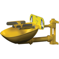 Halo Face/Eyewash Stations, Wall-Mount Installation, Plastic Bowl Seaboard Timber Mart