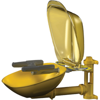 Halo Face/Eyewash Stations, Wall-Mount Installation, Plastic Bowl Seaboard Timber Mart
