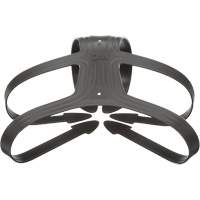 Head Harness Seaboard Timber Mart