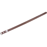 Leg Straps Seaboard Timber Mart