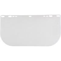 F20 Clear Flat Faceshield, Polycarbonate, Clear Tint Seaboard Timber Mart