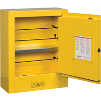 Sure-Grip&reg; EX Mini Flammable Safety Cabinet, 2 Gal., 1 Door, 17" W x 22" H x 8" D Seaboard Timber Mart