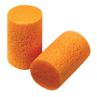 Howard Leight FirmFit Disposable Earplugs, Bulk - B Seaboard Timber Mart