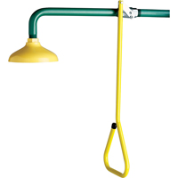 Lifesaver&reg; Emergency Overhead Showers, Wall-Mount Seaboard Timber Mart