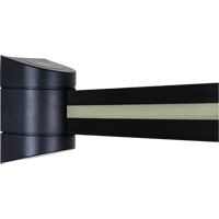 Unit&eacute;s murales Tensabarrier, Plastique, Fixation par vis, 15', Ruban Noir Seaboard Timber Mart