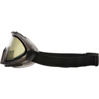 Capstone Dual Lens Safety Goggles, Clear Lens, Anti-Fog/Anti-Scratch, Indirect Vent Seaboard Timber Mart