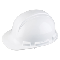 Casque de s&eacute;curit&eacute; Whistler de North, R&eacute;pond aux normes CSA type 1, Suspension Rochet, Non ventil&eacute; Seaboard Timber Mart